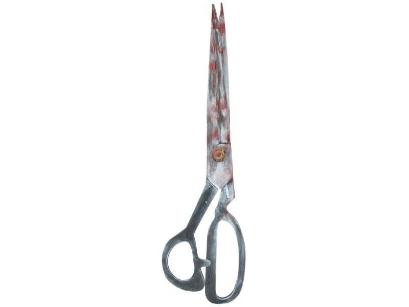 Household Scissors - Large