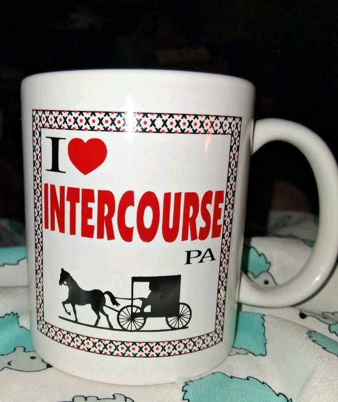 I Heart  Intercourse PA Souvenir  Mug  Novelty Amish Horse & Buggy Used But Nice