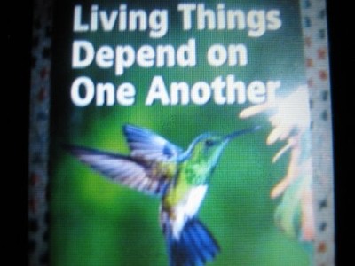HARCOURT SCIENCE: BELOW-LEVEL READER GRADE 3 LIVING THINGS By Harcourt School