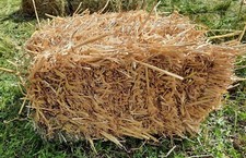 Strohballen3-5Kg, Einstreu Strohballen, Kaninchen Meerschweinchen, Heu, Deko 