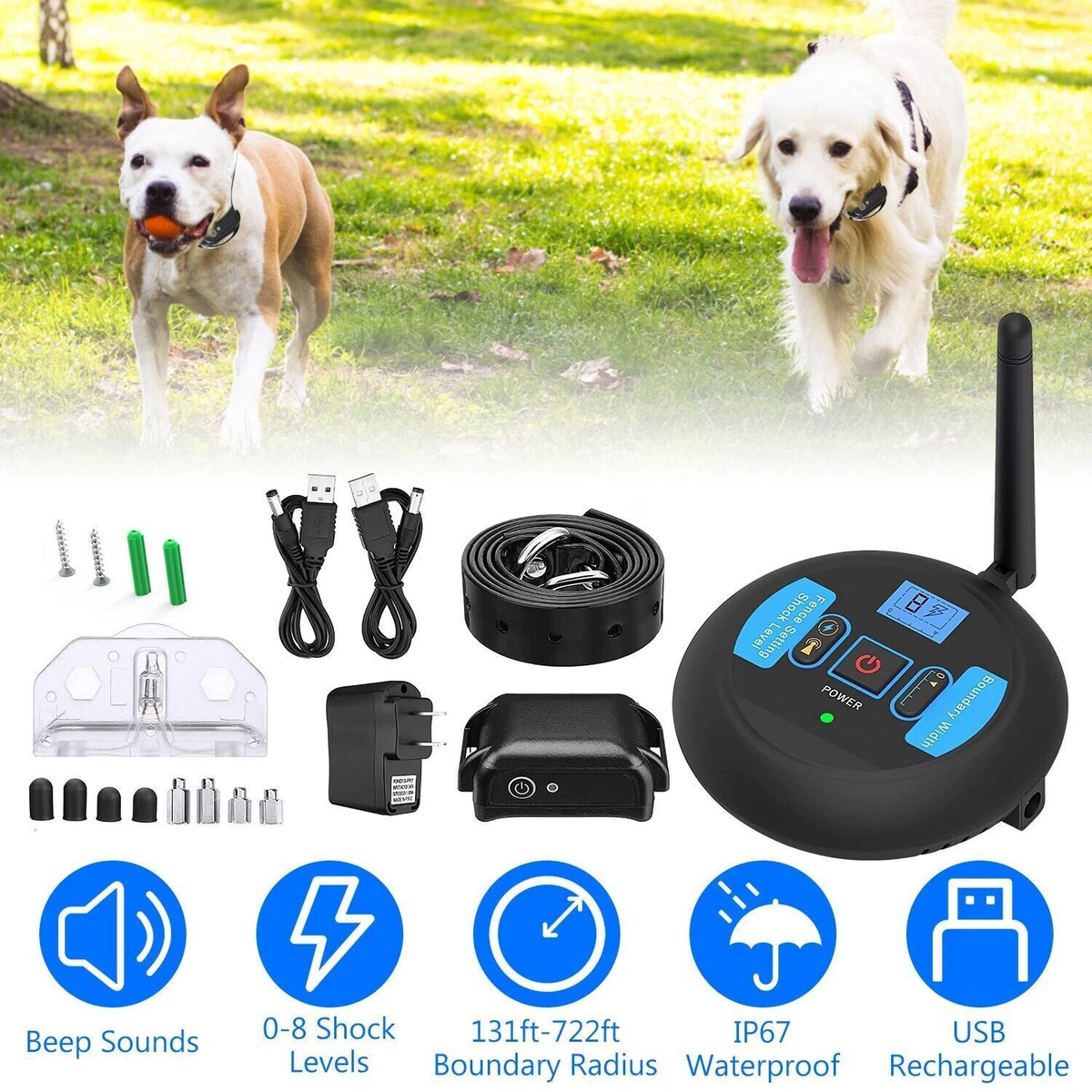 Dog shock collar store for yard