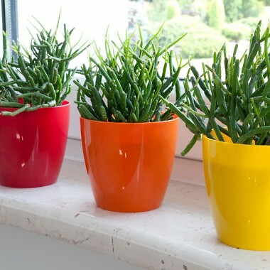 Pflanzblumentopf Kunststoff Glanz Töpfe Pflanzgefäß 18 Farben Untertasse Tablett Deko - Bild 9 von 135