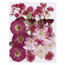 Dried Pressed Flowers Natural Leave Real Pressed Flowers Red Series