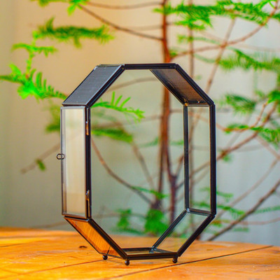 Glass Enclosure Terrarium with Mesh and Door for Spiders, Small Mantis, Jumping