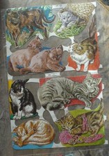 Oblate MLP #1539 scraps Tiger Katzen printed in England CE mit Glitzer OVP