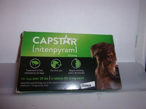 capstar over 25 lbs