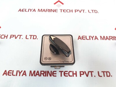 Yongsung C-60 Cam Schalter AC 250V 10A Max 600V