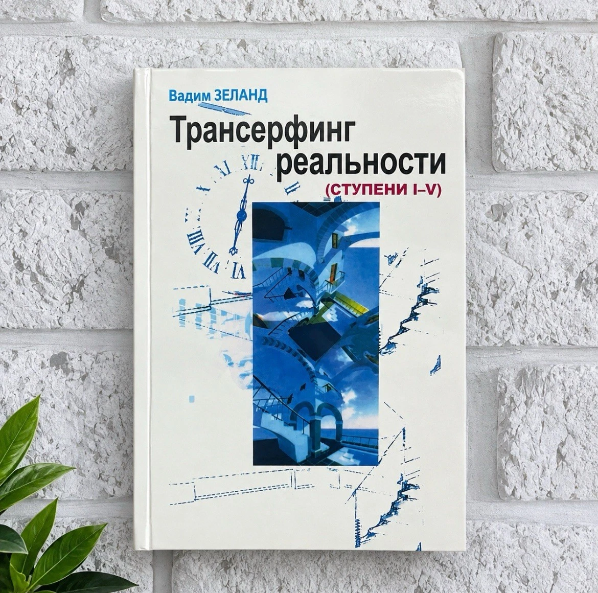 Вадим Зеланд Трансерфинг реальности 1-5 ступень Эзотерика Buch auf Russisch