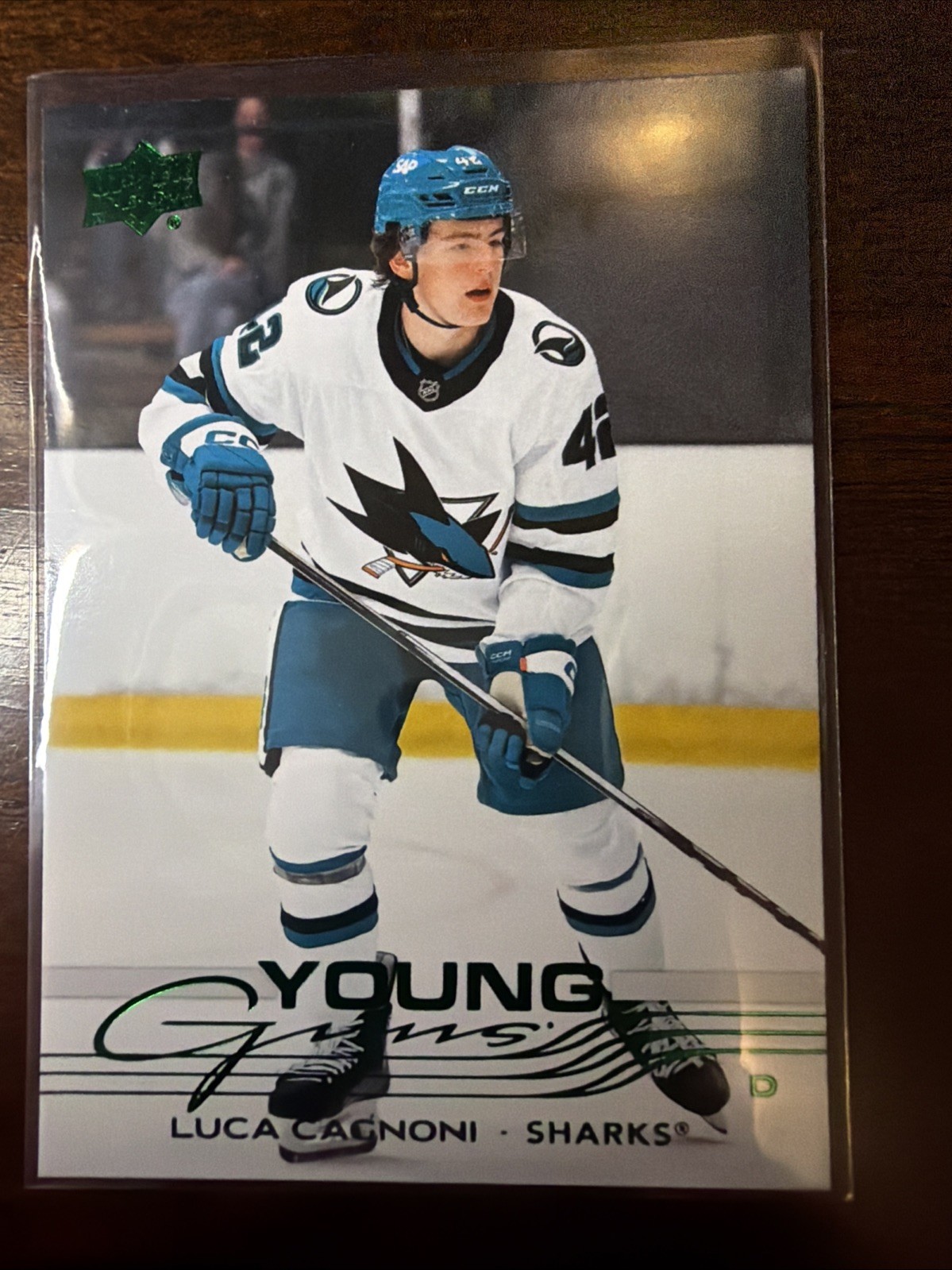 2025-26 Upper Deck Series 1 - Holiday Young Guns Luca Cagnoni #213 (RC)
