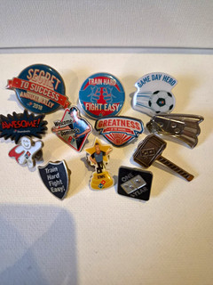 Domino’s Pizza Advertising Theme Enamel Badge & Pin Job Lot Promotional Designs