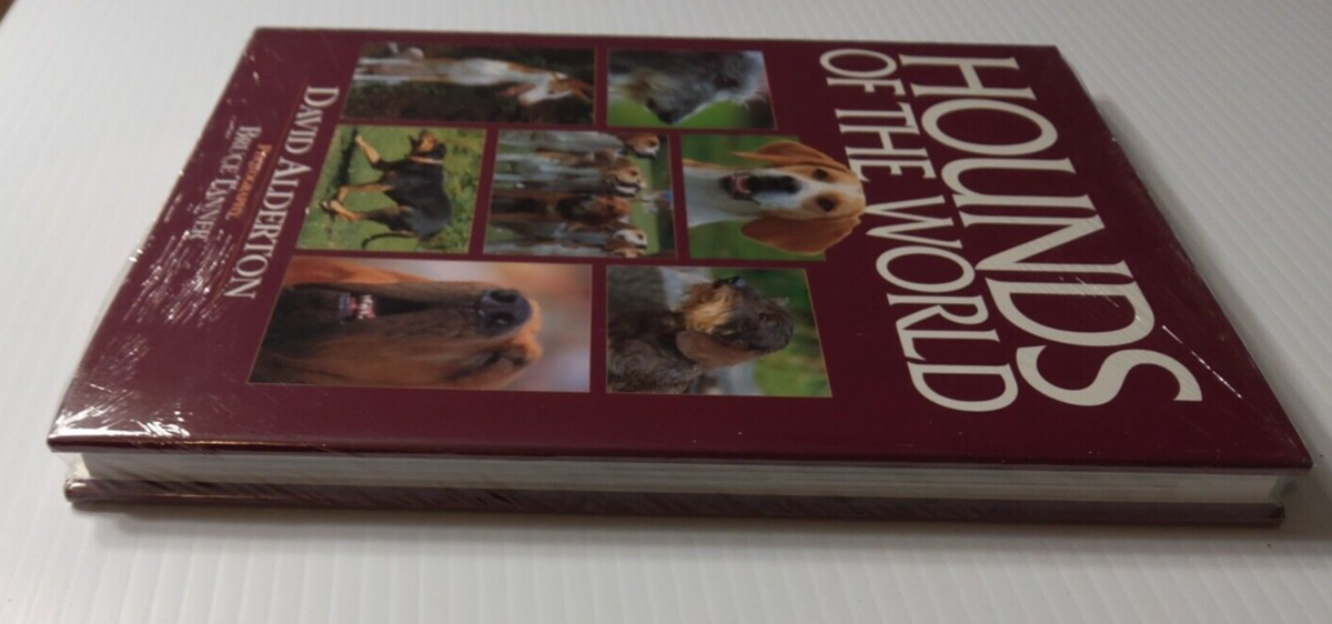 HOUND DOG パンフレット 12冊セット 2026年最新】Yahoo!オークション