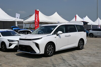 Auto Foto 12x8 - MG Maxus Mifa 9