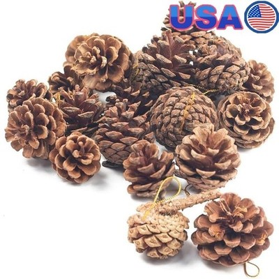 18PCS Hanging Natural Pine Cones (1.5'' 2.5''), Rustic Pinecones with Strings