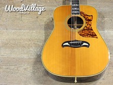 N-1000 Late Model Acoustic Guitar Rosewood Top Ebony Fingerboard