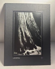 CAVEMAN Signed Black & White Photography Print 1/1 Signed Mounted Tree Art