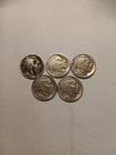 Lot Of 5 Buffalo Nickels
