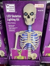 12 Ft Skeleton Skelly LED Home Accents Holiday Lighting Kit  Eye Kit Home Depot