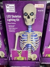 12 Ft Skeleton Skelly LED Home Accents Holiday Lighting Kit + Eye Kit Home Depot