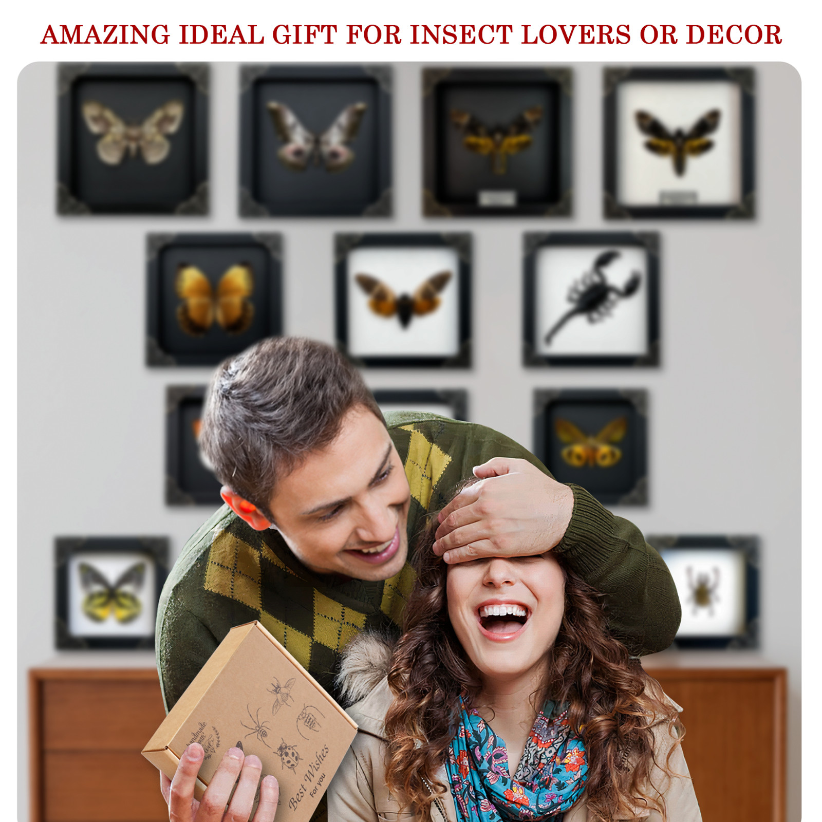 Real Mounted Moth Taxidermy Collection Framed Butterfly Insect Display Art