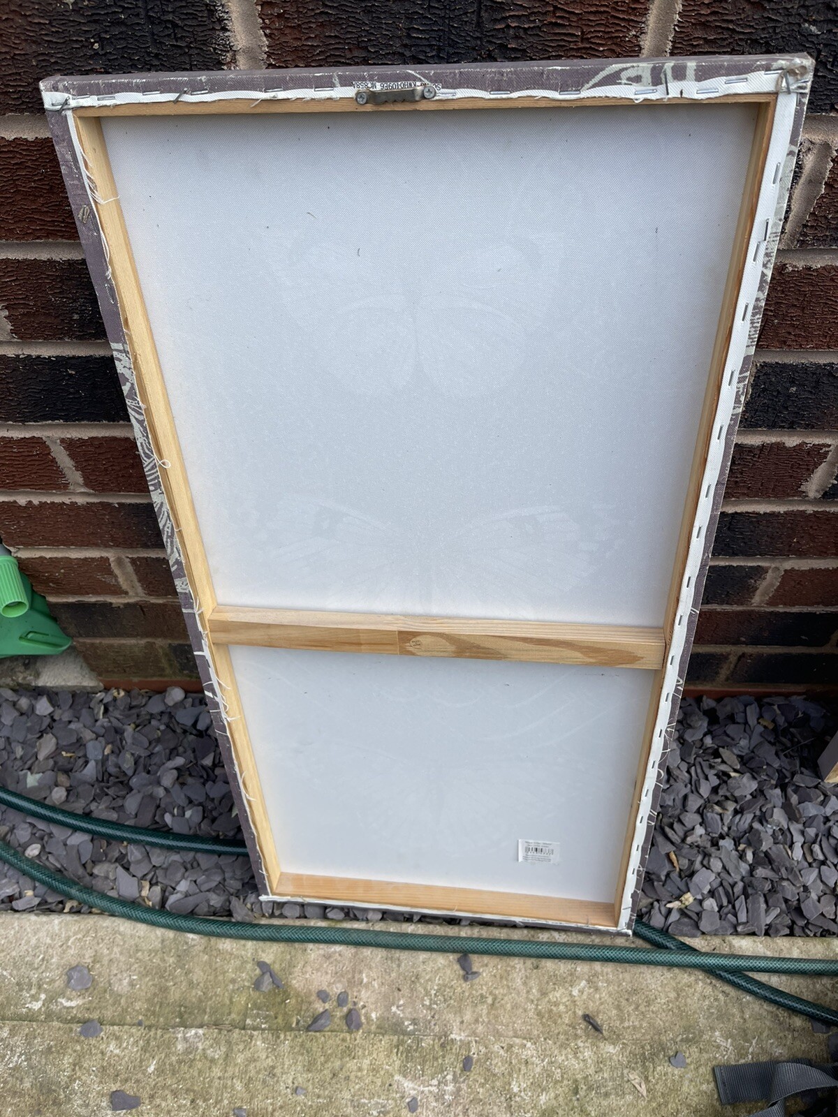 butterfly canvas wall art eBay