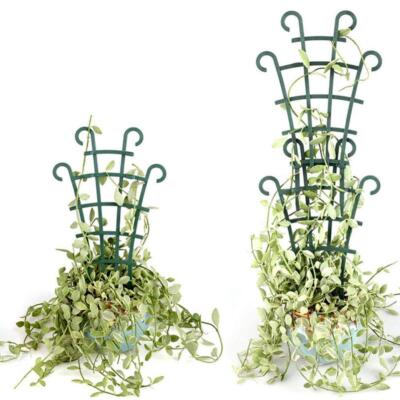 Expandable Wooden Garden Trellis, Wall Fence Panel To Climbing Support X3D3