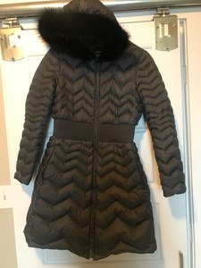 dawn levy down coat