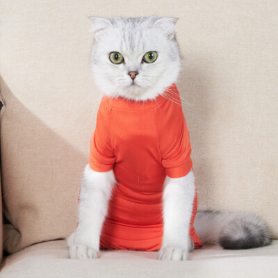 Pet Jumpsuit Cat Recovery Bodysuit After Surgery Soft Cat Clothes