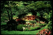 Lot of 120 35mm Slides Gardens Flowers Nature Parks Serene Fountains Landscapes