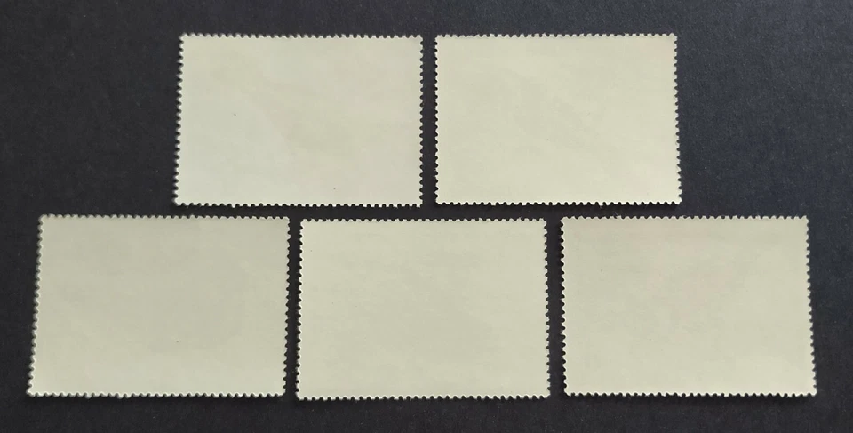 1979 Russia CCCP Birds Owls 5v Stamps Set Mint Never Hinged - Image 2 of 2