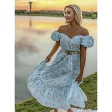 NWT Love Shack Fancy X Target Estelle Blue Floral Puff Sleeve Midi Dress Size 8