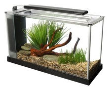 Fluval SPEC Aquarium Kit, Aquarium with LED Lighting and 3-Stage Filtration