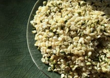 1 Pound (16 oz) Hemp Hearts Raw Shelled Hemp Seeds, Natural,FRESH