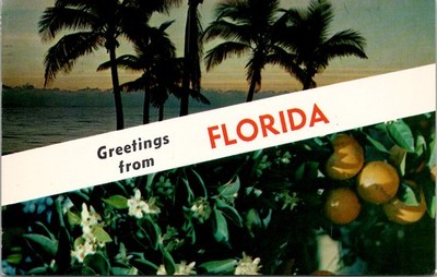 Typical Scenes from Florida Vintage Postcard Wpc10