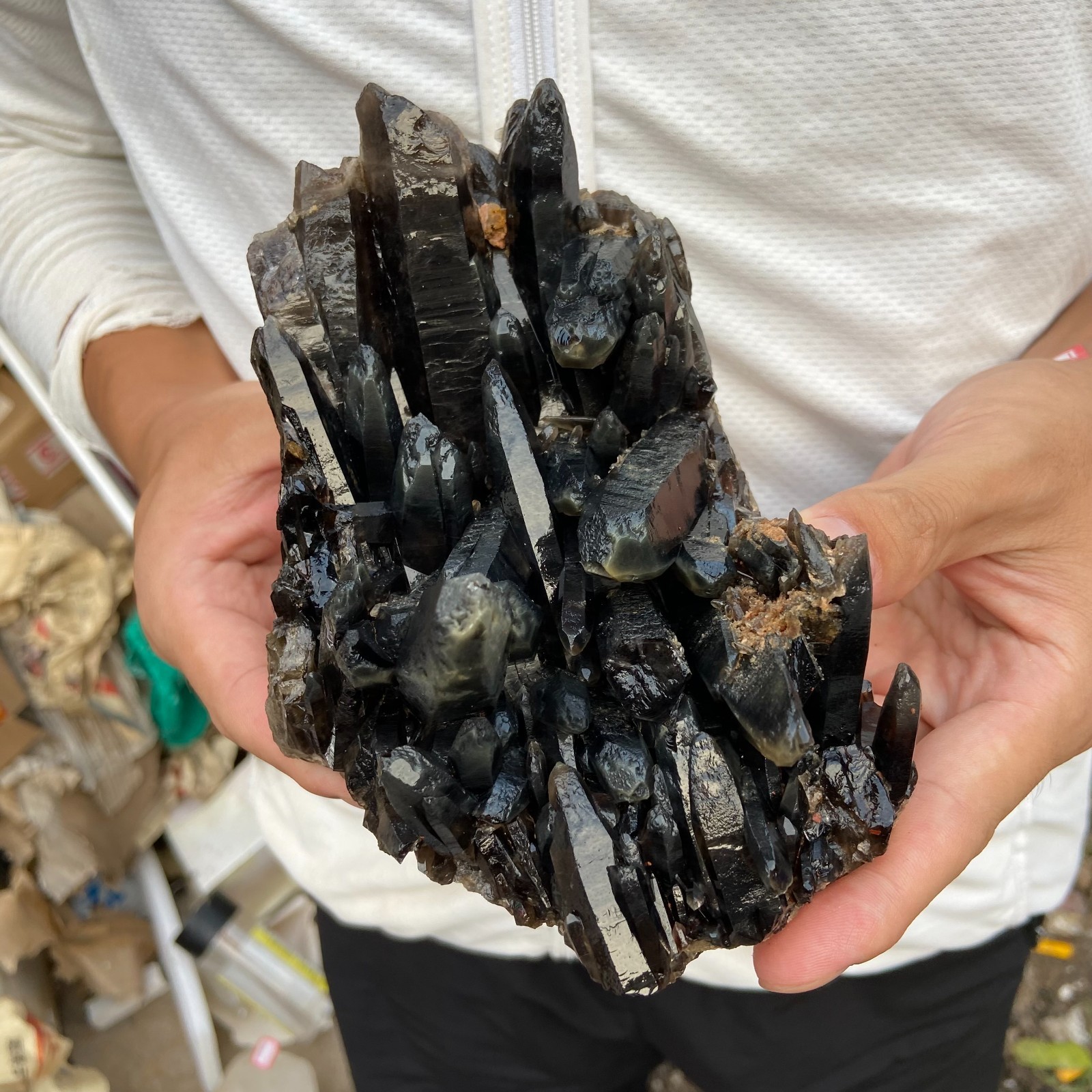 2.3lb Natural Black Smoky Quartz Crystal Cluster Raw Mineral Specimen