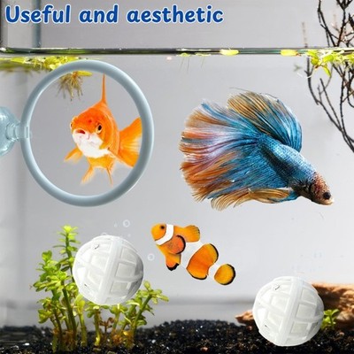 Betta Exercise Rings Working Out Reduces Boredom Round Pet Fish Enrichment