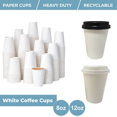 WE CAN SOURCE IT LTD Disposable Coffee Cups 8oz / 12oz White Paper Cups And Sip Lids For Hot Drinks