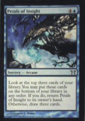 Petals of Insight - Champions of Kamigawa: #79, Magic: The Gathering Nm R161