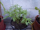 Bild 3 von 7