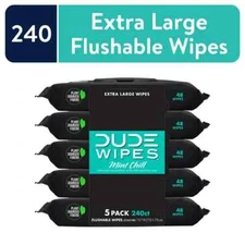 DUDE Wipes Flushable Wipes, XL Wet Wipes for At Home Use, Mint Chill, 240 Count
