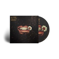 Hozier: Hozier: Unreal Unearth - - (Cd / U)