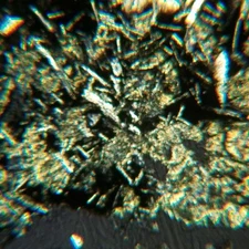 Thin-section Mount from DSDP Hole 171 Petrographic Microscope Slide 17-171-27-2