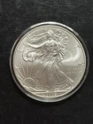 2009 Silver American Eagle $1 - BU - Brilliant Uncirculated - In Capsule