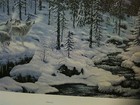 Bild 8 von 8