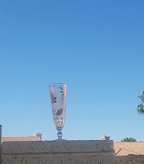 Vaso de cerveza Pilsner MCM Libbey hoja dorada tallo esmerilado 1  Foto 4 de 4