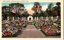 Vintage Rose Garden Franklin Park Boston MA Colorful Tichnor Postcard