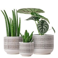 Docrin 3-Pack Ceramic Planters Set - 6.5"+5.3"+4" Dual-Tone Flower Pots with ...