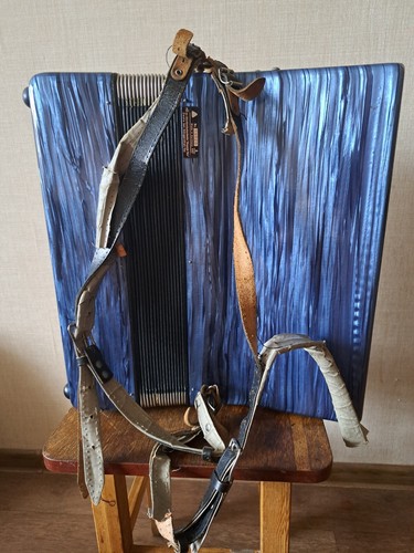 Deutsches Vintage Klavier Accodion Contasina 80 Bass mit Koffer - Bild 10 von 24