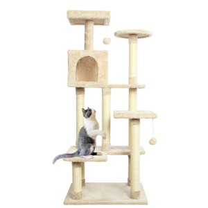 cat activity tree