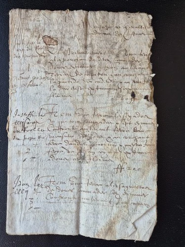 MANUSCRIT 1682 Extraits Cadastre 1569 Livre Terrier 14p Acte Notarié Paraphes