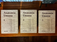 Anatomia umana - edi ermes
